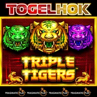 Triple Tigers